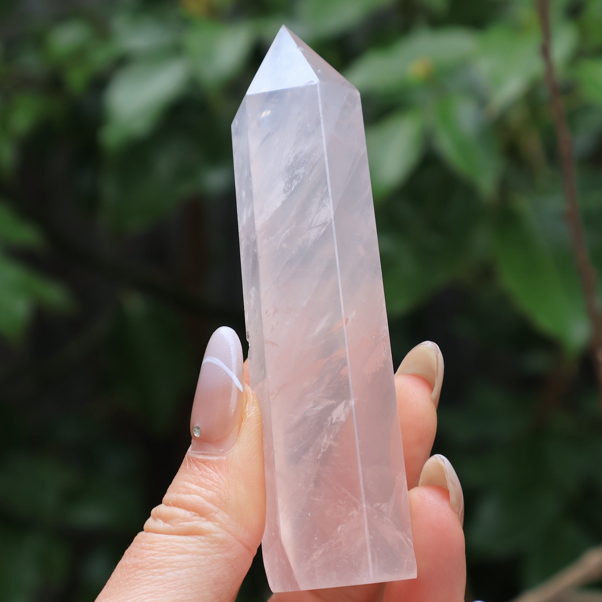 Natural rose quartz tower crystal with gentle pink shade, photographed in natural light.