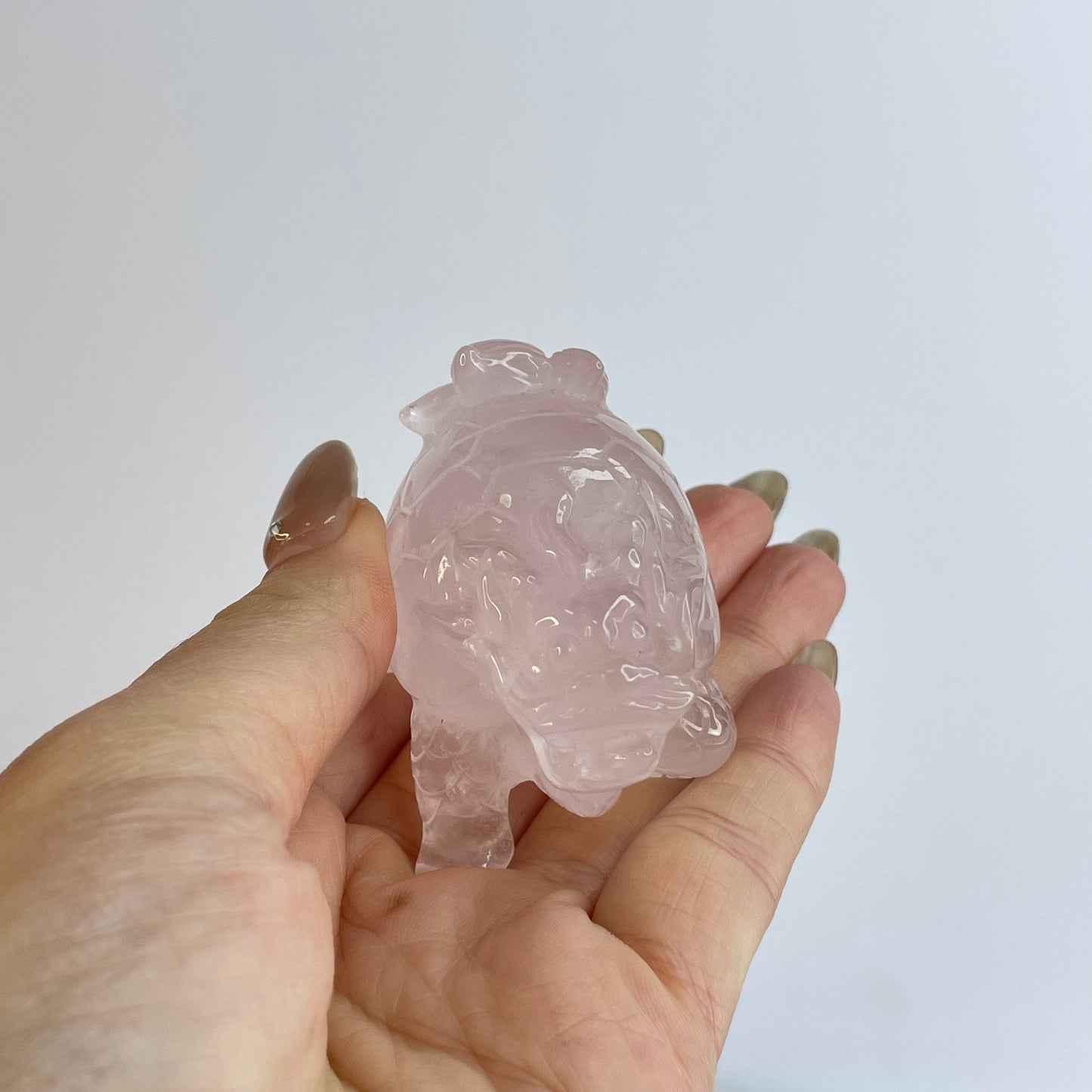 Rose Quartz Dragon Turtle – 36×38×50mm 粉晶龍龜擺件 – 36×38×50mm
