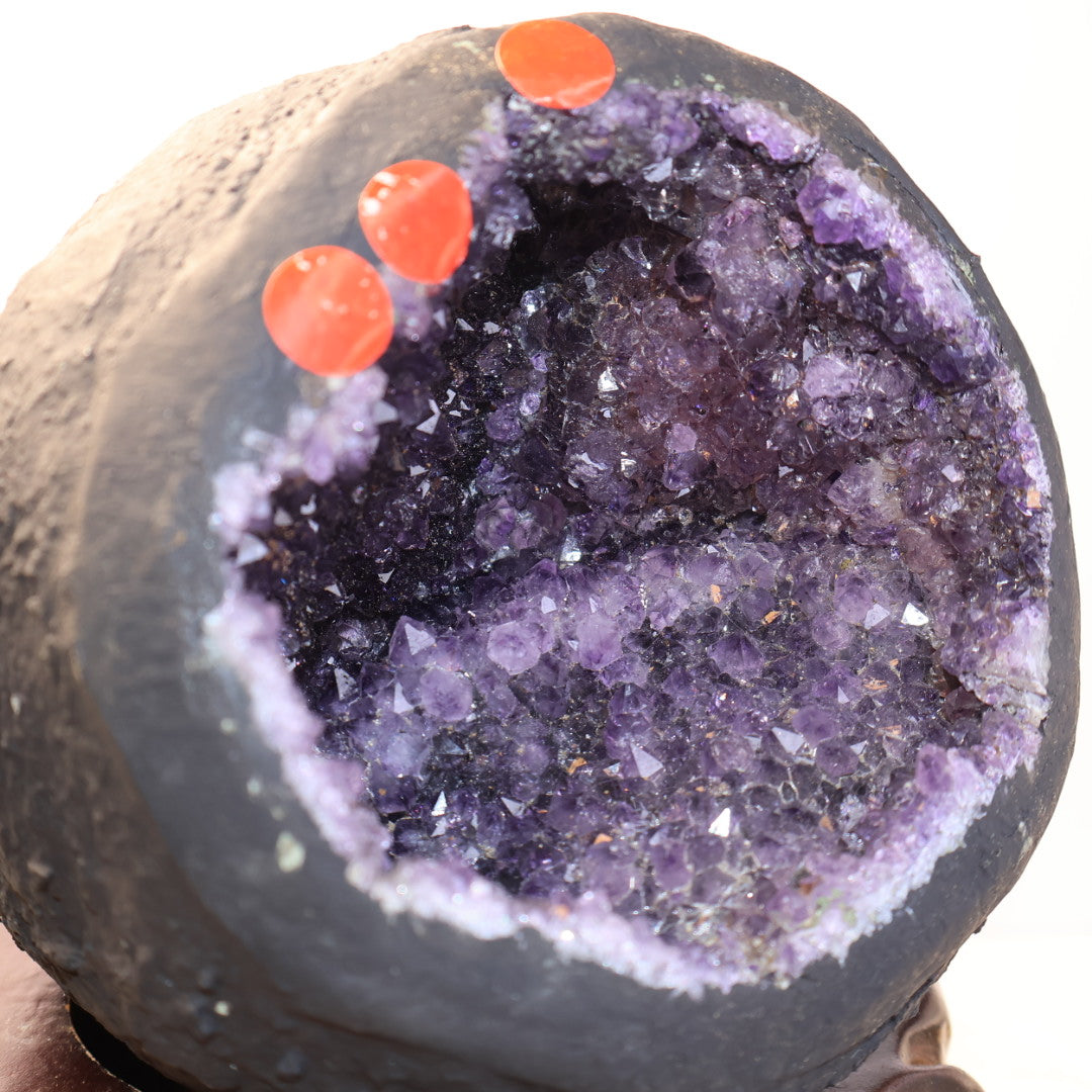 Natural Uruguay Amethyst Geode Crystal Cave with Deep Purple Quartz Interior