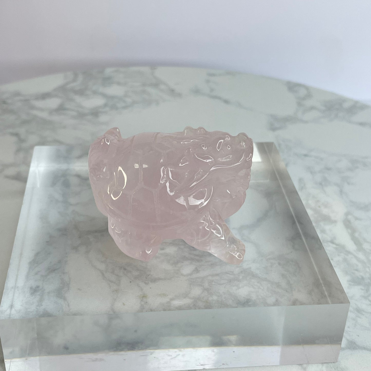Rose Quartz Dragon Turtle – 36×38×50mm                                     粉晶龍龜擺件 – 36×38×50mm