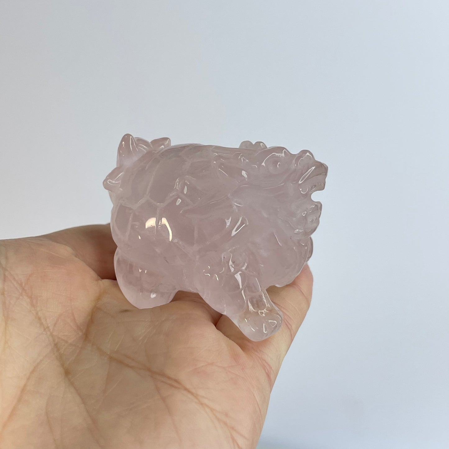 Rose Quartz Dragon Turtle – 36×38×50mm                                     粉晶龍龜擺件 – 36×38×50mm